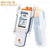 DZB-718L便携式多参数水质分析仪pH电极触屏可充电
